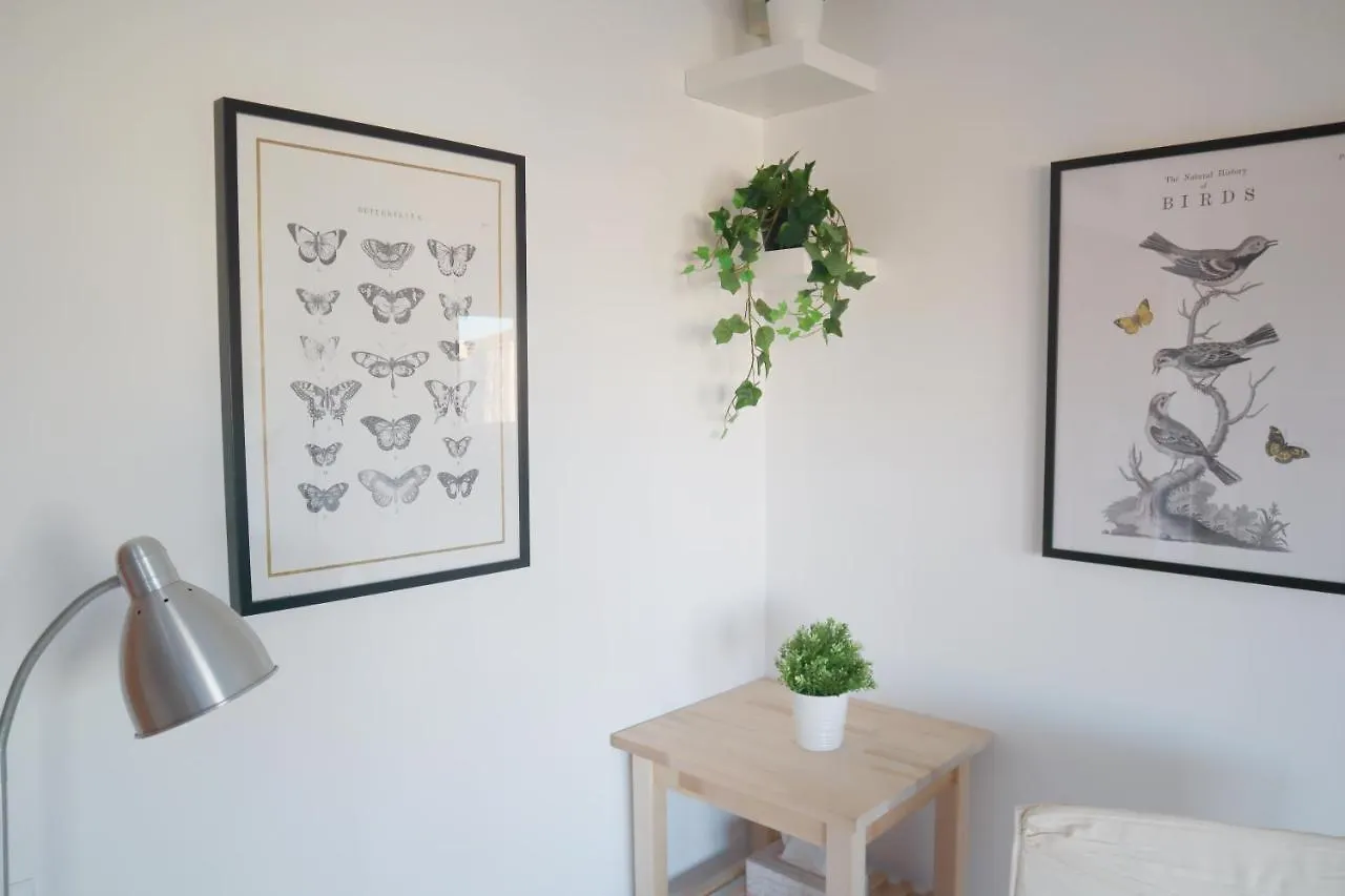 Sant Antoni De Calonge-Costa Brava Apartment Spain